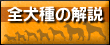 �S����̉��